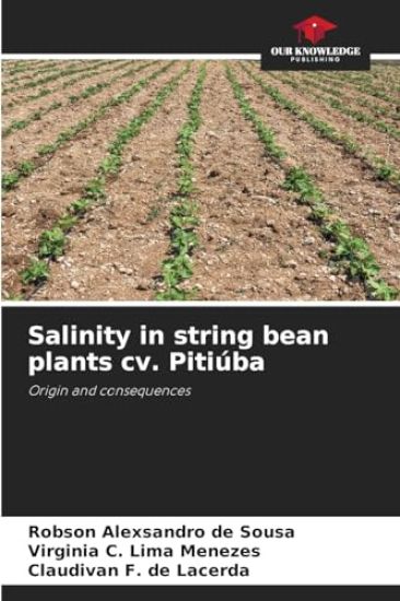 Salinity in string bean plants cv. Pitiúba