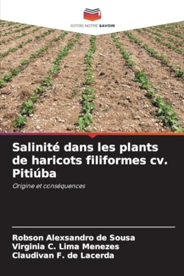 Salinité dans les plants de haricots filiformes cv. Pitiúba