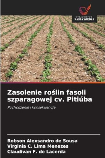 Zasolenie roslin fasoli szparagowej cv. Pitiúba