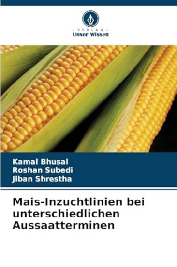 Mais-Inzuchtlinien bei unterschiedlichen Aussaatterminen