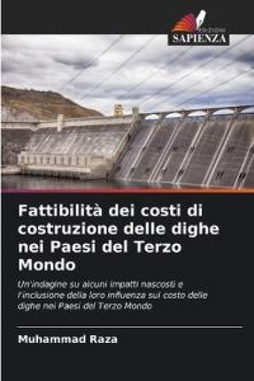 Fattibilità dei costi di costruzione delle dighe nei Paesi del Terzo Mondo