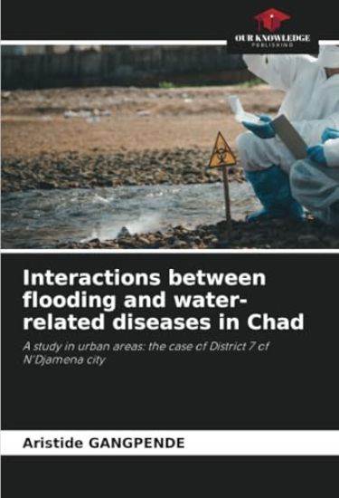 Interactions between flooding and water-related diseases in Chad
