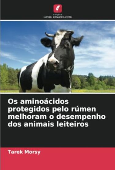 Os aminoácidos protegidos pelo rúmen melhoram o desempenho dos animais leiteiros