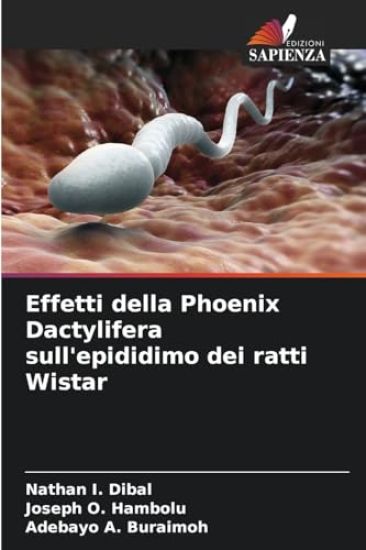 Effetti della Phoenix Dactylifera sull'epididimo dei ratti Wistar