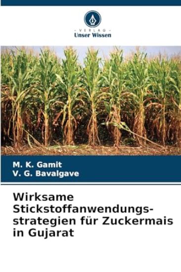 Wirksame Stickstoffanwendungs-strategien für Zuckermais in Gujarat