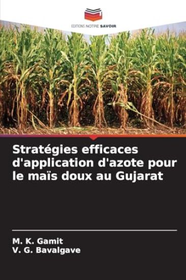 Stratégies efficaces d'application d'azote pour le maïs doux au Gujarat