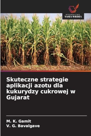 Skuteczne strategie aplikacji azotu dla kukurydzy cukrowej w Gujarat