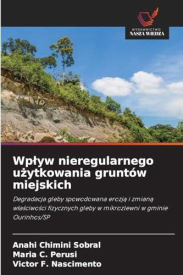 Wplyw nieregularnego uzytkowania gruntów miejskich