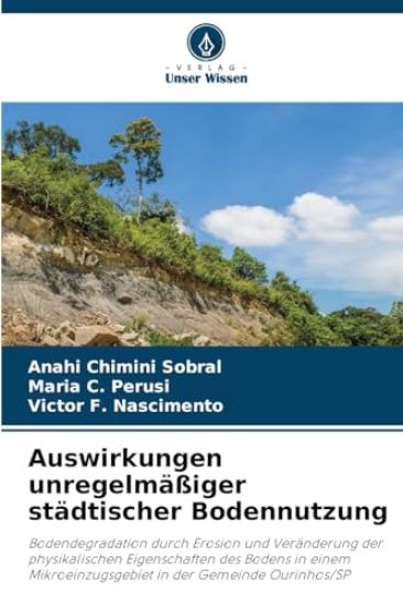 Auswirkungen unregelmäßiger städtischer Bodennutzung