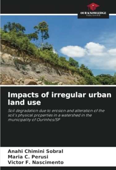 Impacts of irregular urban land use