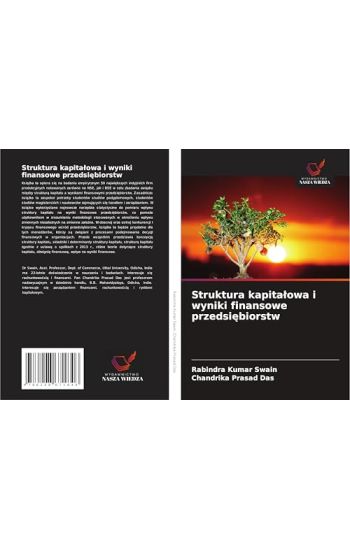 Struktura kapita¿owa i wyniki finansowe przedsi¿biorstw