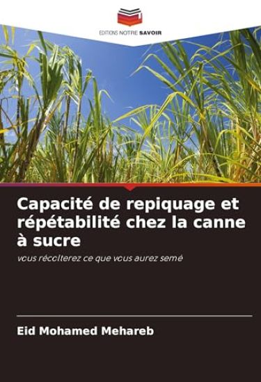 Capacité de repiquage et répétabilité chez la canne à sucre