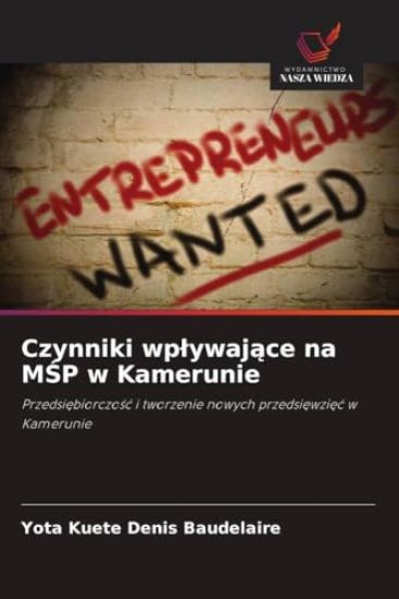 Czynniki wp¿ywaj¿ce na M¿P w Kamerunie