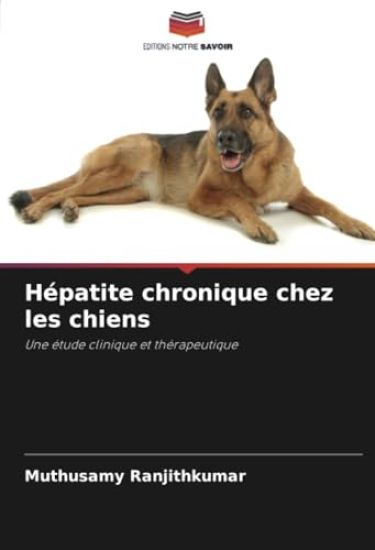 Hépatite chronique chez les chiens