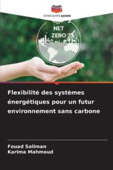 Flexibilité des systèmes énergétiques pour un futur environnement sans carbone