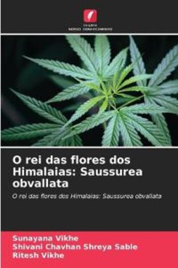 O rei das flores dos Himalaias: Saussurea obvallata