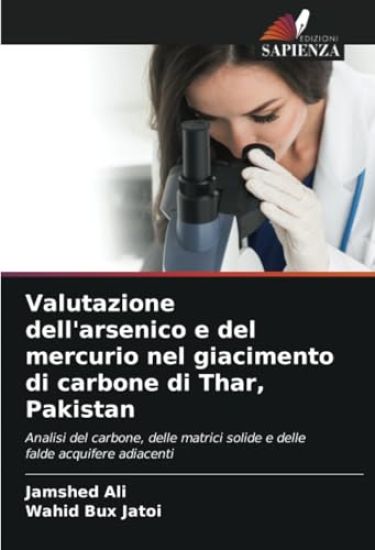 Valutazione dell'arsenico e del mercurio nel giacimento di carbone di Thar, Pakistan