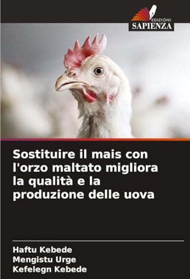 Sostituire il mais con l'orzo maltato migliora la qualità e la produzione delle uova