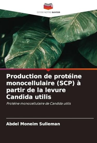 Production de protéine monocellulaire (SCP) à partir de la levure Candida utilis