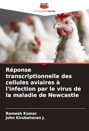 Réponse transcriptionnelle des cellules aviaires à l'infection par le virus de la maladie de Newcastle