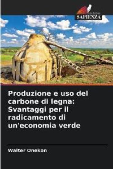 Produzione e uso del carbone di legna: Svantaggi per il radicamento di un'economia verde