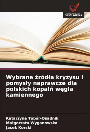 Wybrane ¿ród¿a kryzysu i pomys¿y naprawcze dla polskich kopal¿ w¿gla kamiennego