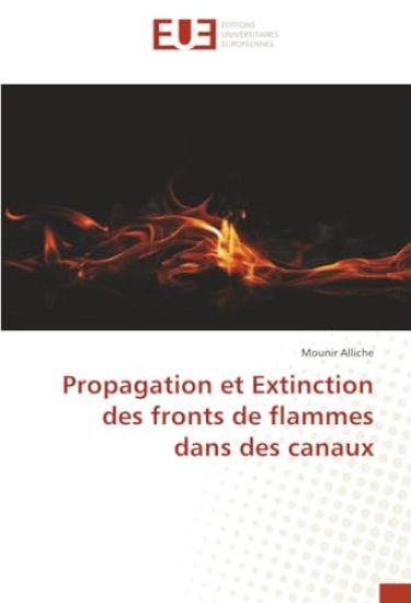 Propagation et Extinction des fronts de flammes dans des canaux