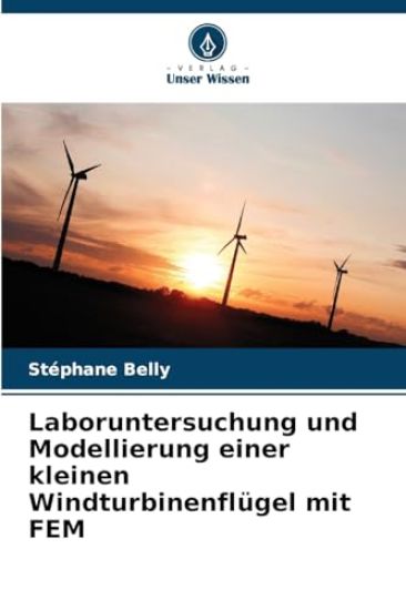 Laboruntersuchung und Modellierung einer kleinen Windturbinenflügel mit FEM
