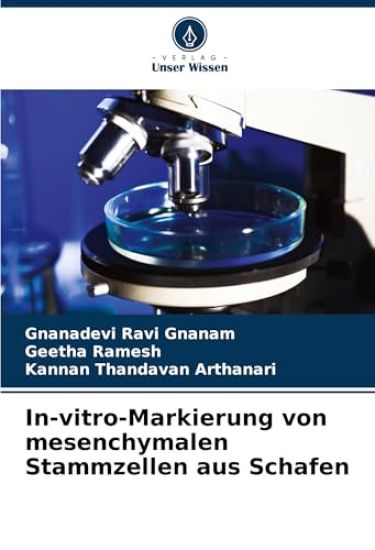 In-vitro-Markierung von mesenchymalen Stammzellen aus Schafen