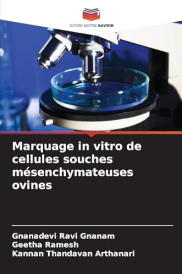 Marquage in vitro de cellules souches mésenchymateuses ovines
