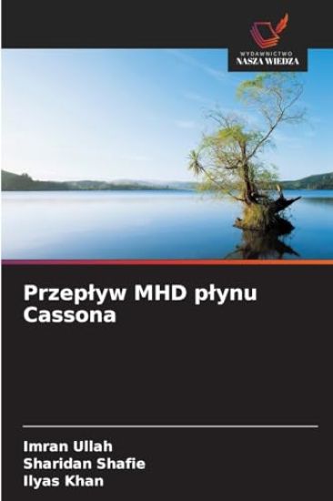Przeplyw MHD plynu Cassona