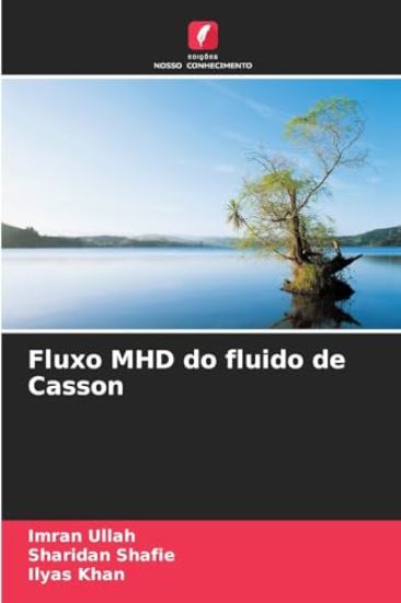 Fluxo MHD do fluido de Casson