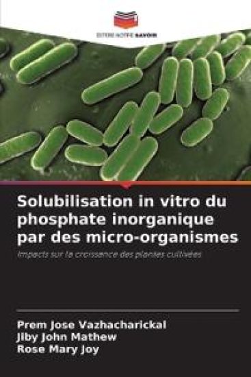Solubilisation in vitro du phosphate inorganique par des micro-organismes