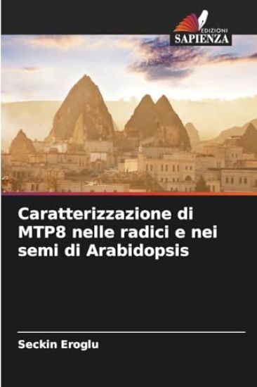 Caratterizzazione di MTP8 nelle radici e nei semi di Arabidopsis