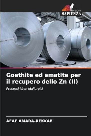 Goethite ed ematite per il recupero dello Zn (II)