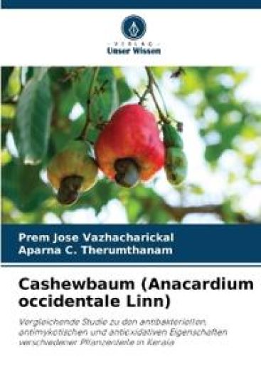 Cashewbaum (Anacardium occidentale Linn)