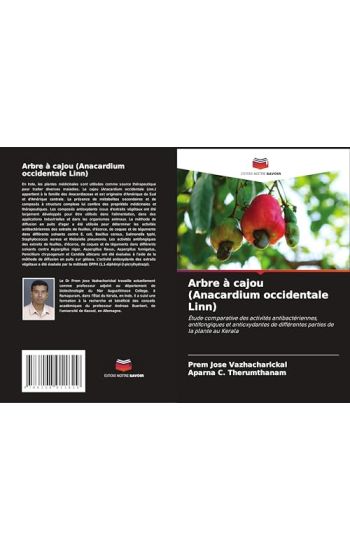 Arbre à cajou (Anacardium occidentale Linn)