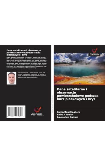 Dane satelitarne i obserwacje powierzchniowe podczas burz piaskowych i bryz