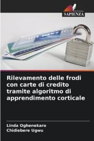 Rilevamento delle frodi con carte di credito tramite algoritmo di apprendimento corticale