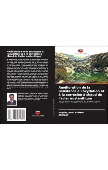 Amélioration de la résistance à l'oxydation et à la corrosion à chaud de l'acier austénitique