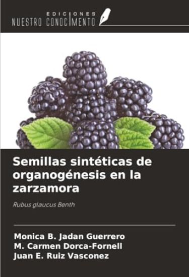 Semillas sintéticas de organogénesis en la zarzamora