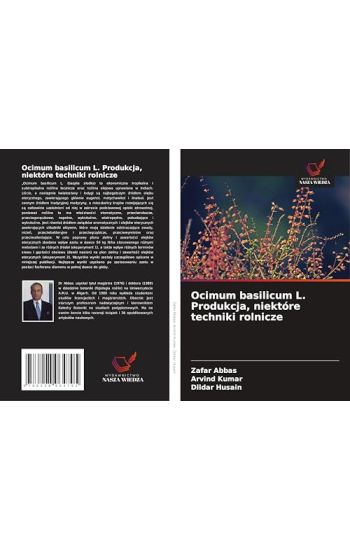 Ocimum basilicum L. Produkcja, niektóre techniki rolnicze