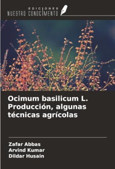 Ocimum basilicum L. Producción, algunas técnicas agrícolas