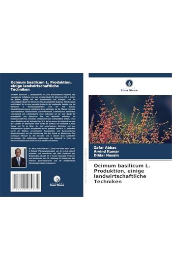Ocimum basilicum L. Produktion, einige landwirtschaftliche Techniken