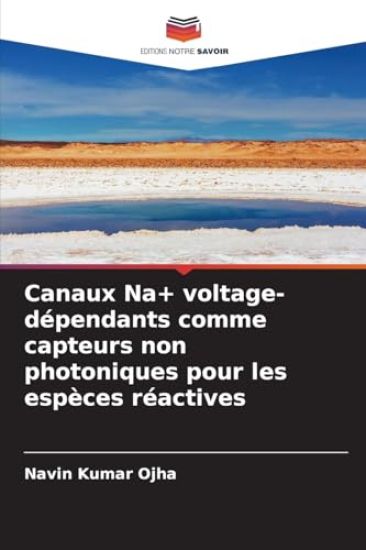 Canaux Na+ voltage-dépendants comme capteurs non photoniques pour les espèces réactives