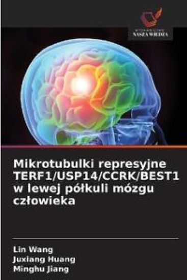 Mikrotubulki represyjne TERF1/USP14/CCRK/BEST1 w lewej pólkuli mózgu czlowieka