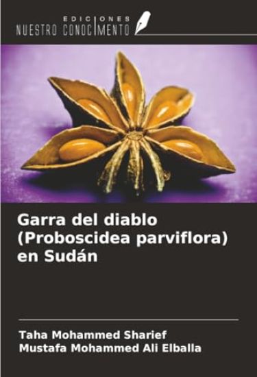Garra del diablo (Proboscidea parviflora) en Sudán