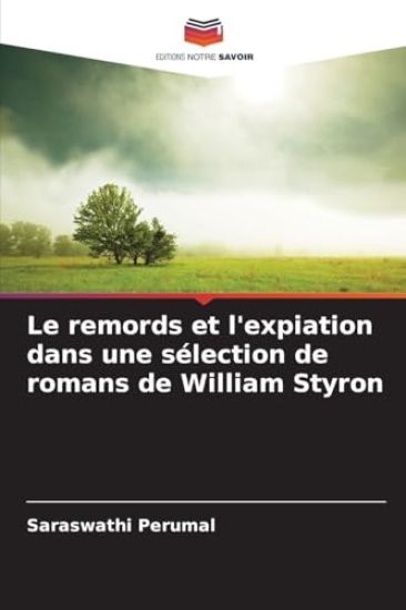 Le remords et l'expiation dans une sélection de romans de William Styron