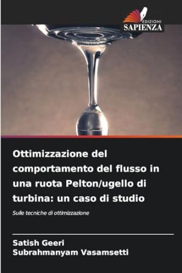 Ottimizzazione del comportamento del flusso in una ruota Pelton/ugello di turbina