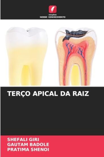Terço Apical Da Raiz